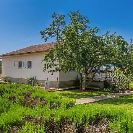 Apartments Marica Skrbčići エクステリア 写真